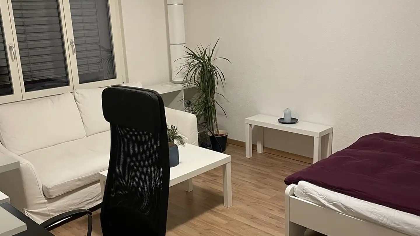 Chambre à louer - Waffenplatzstrasse 10, 8002 Zürich