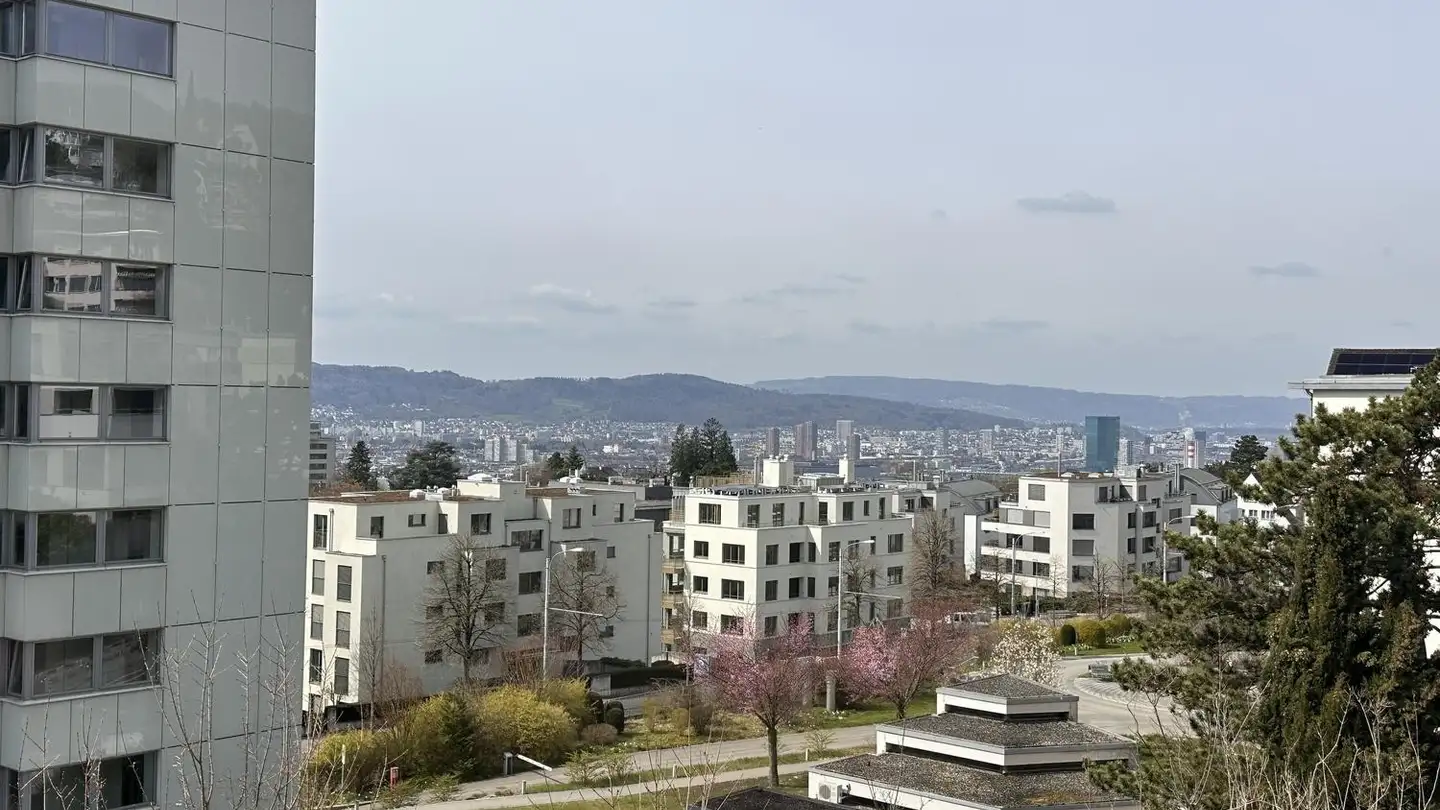 Studio in affitto - Restelbergstrasse 12, 8044 Zürich