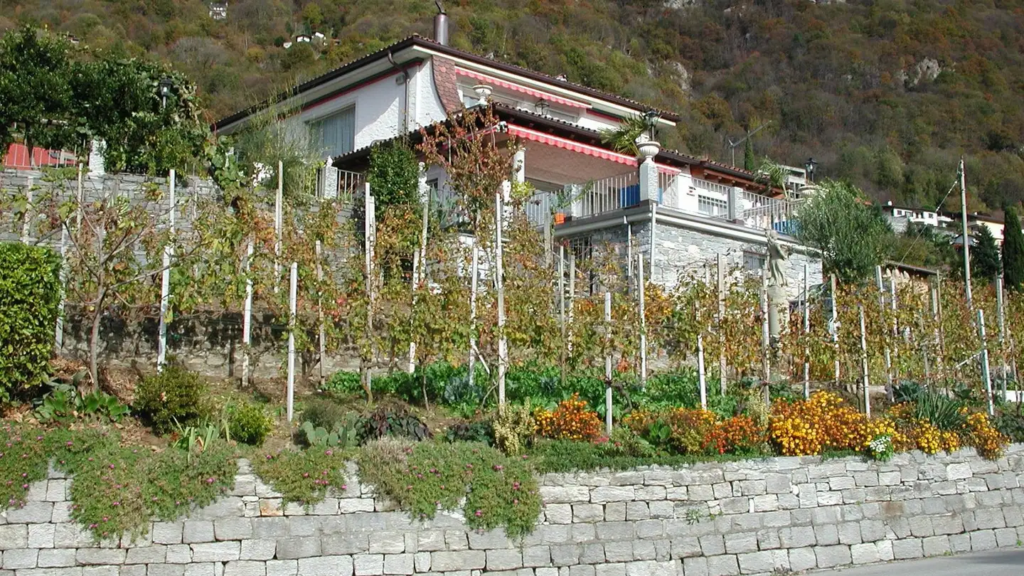 Appartamento in affitto - Via Collina 5, 6516 Cugnasco