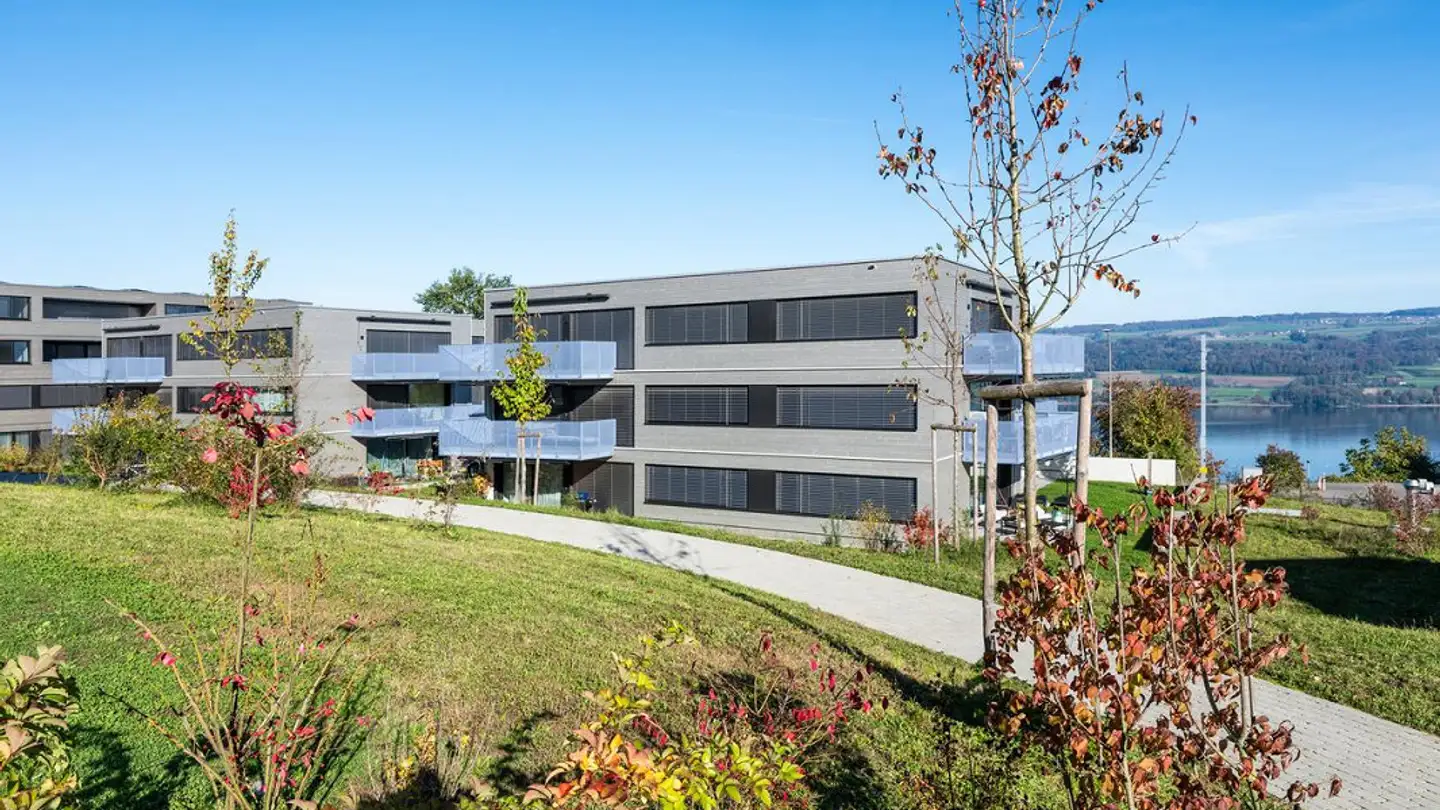 Appartement à louer - Widenmattstrasse 5, 5712 Beinwil am See