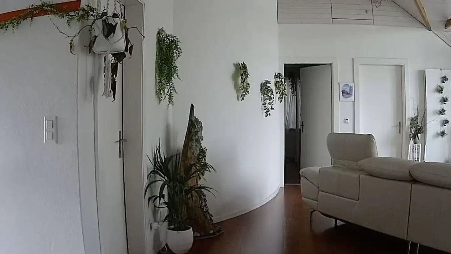 Wohnung mieten - 8604 Volketswil