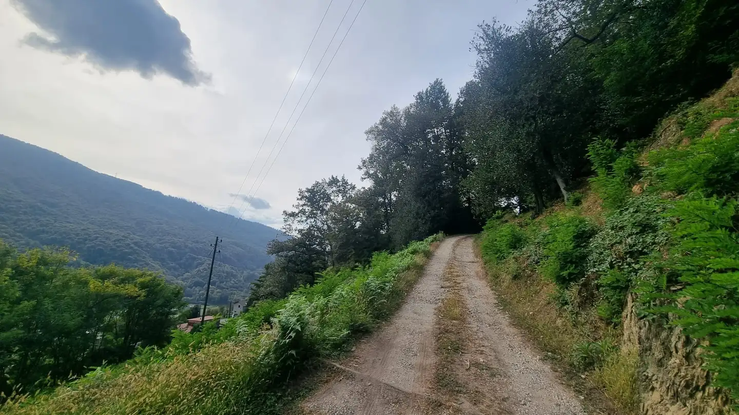 Commercial for sale - Via Monteggio, 6998 Monteggio - Photo 4