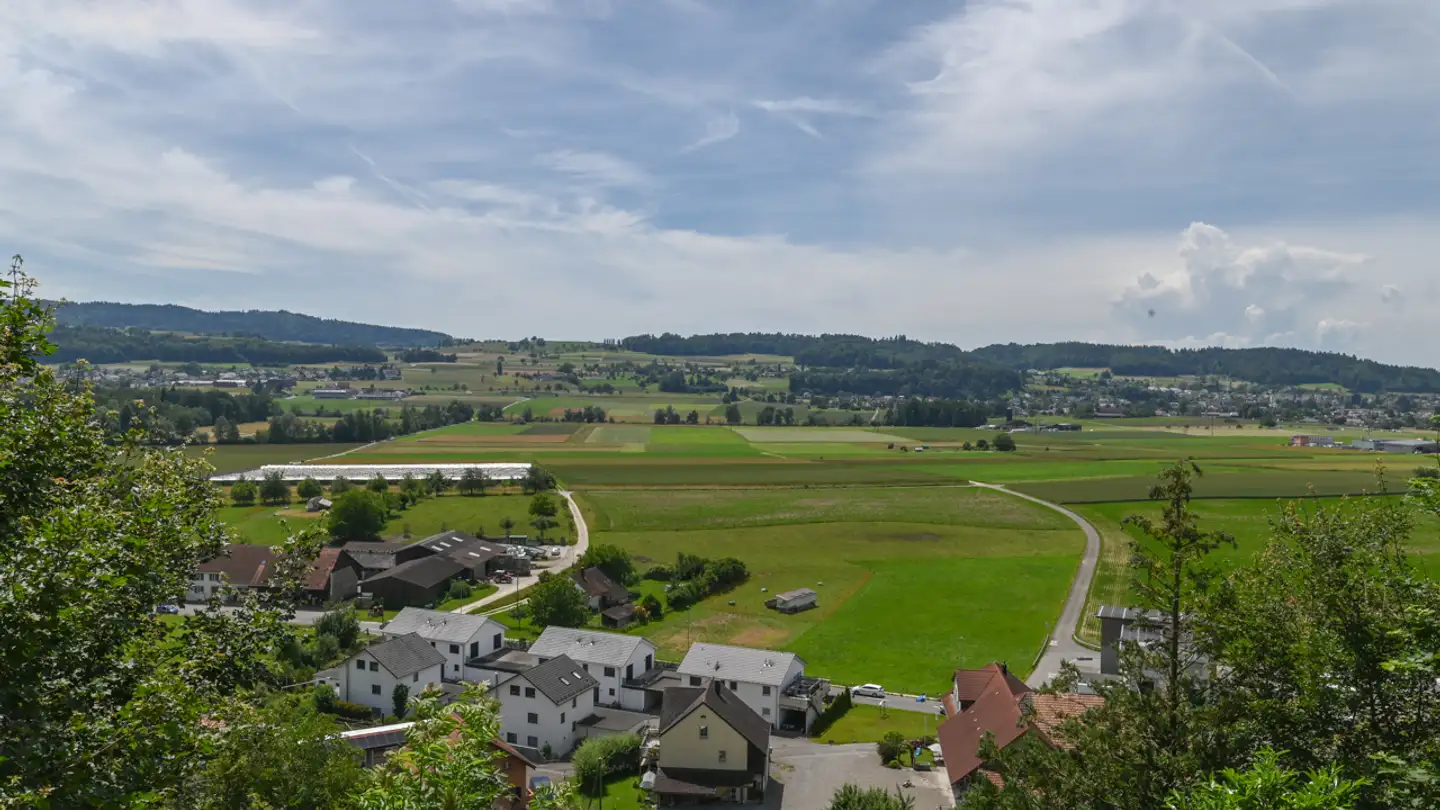 Casa singola in vendita - 5704 Egliswil - Photo 4