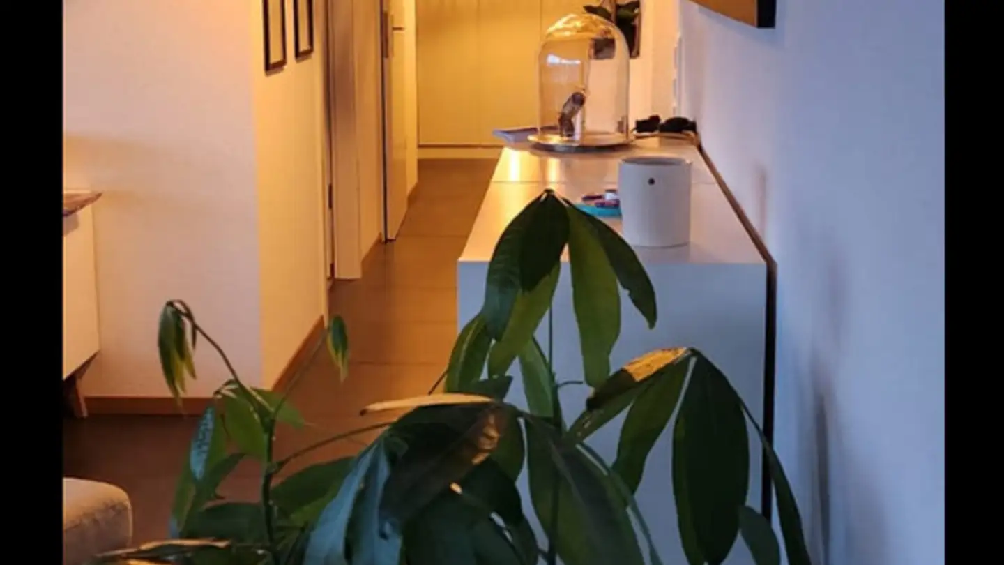 Apartment for rent - Chemin De La Clopette 21, 1040 Echallens - Photo 2