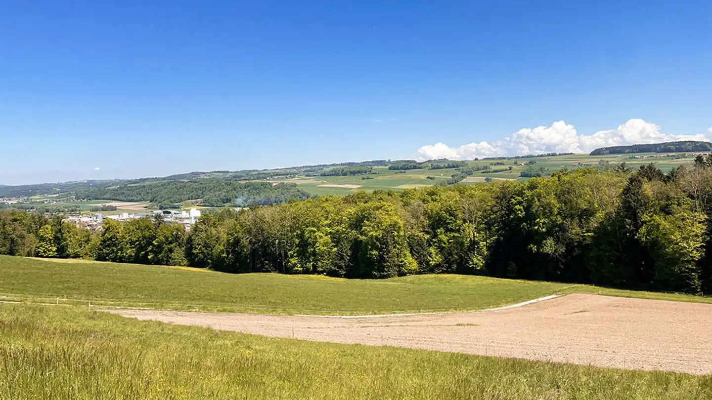 Residential building for sale - 1510 Moudon