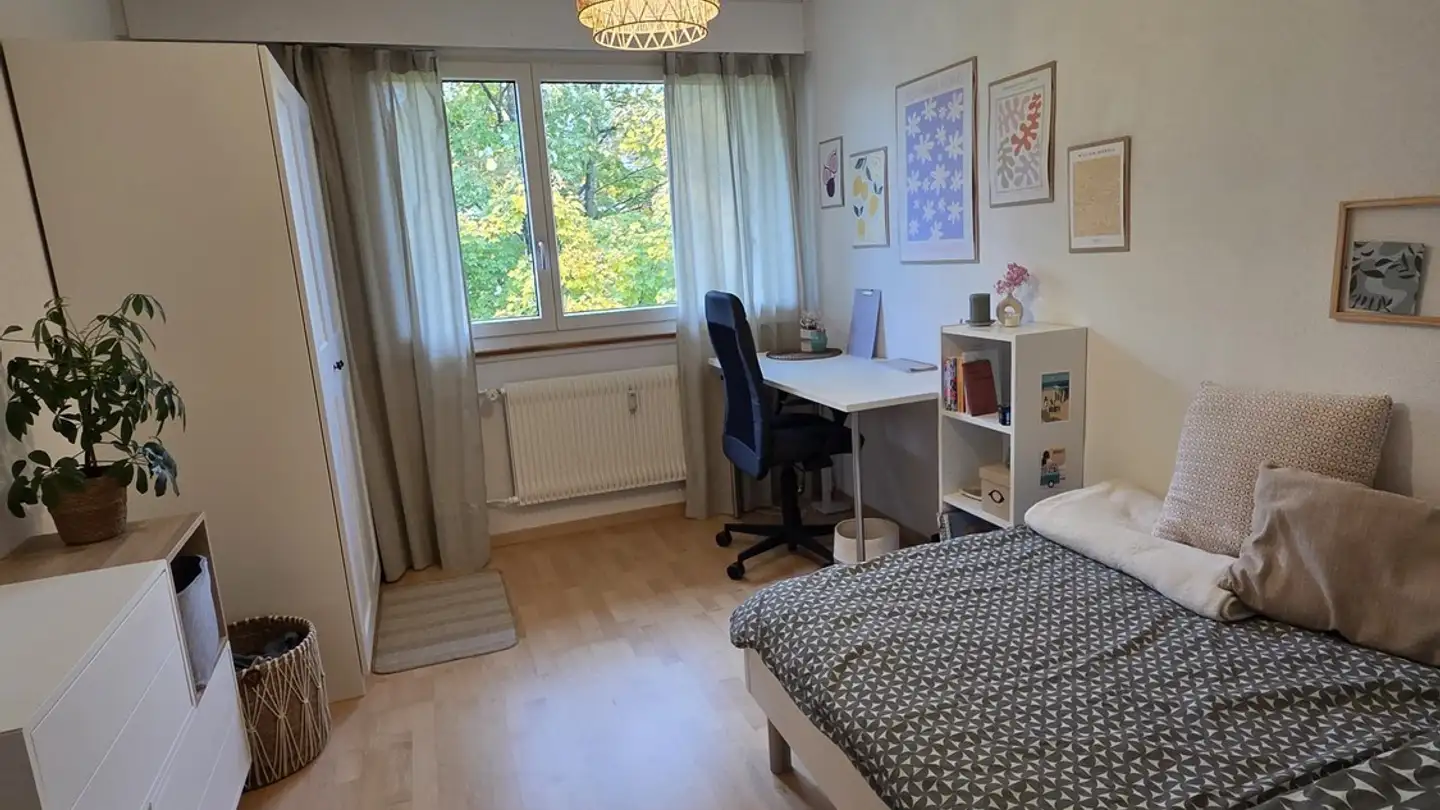 Chambre à louer - 3097 Liebefeld