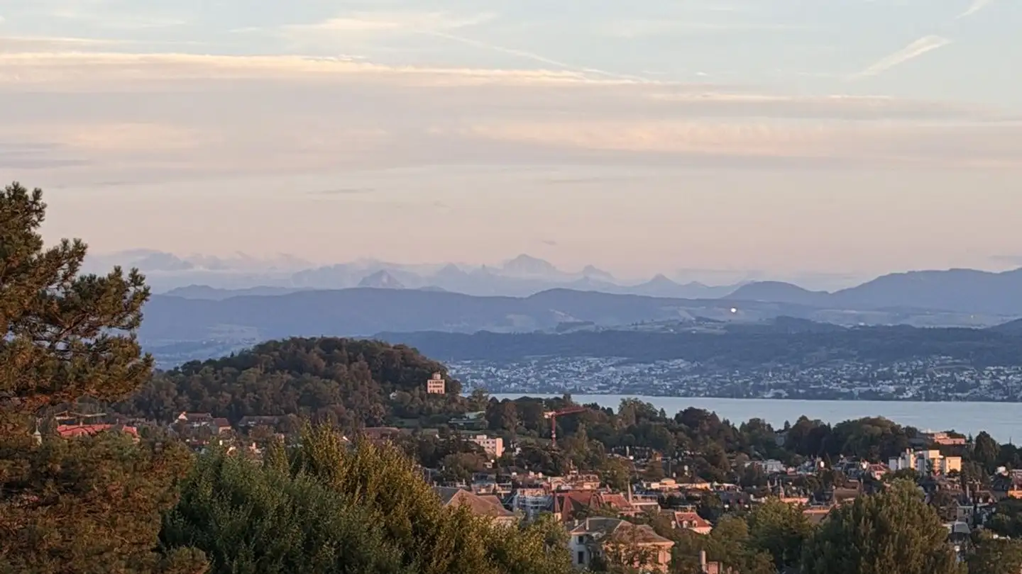 Chambre à louer - Gloriastrasse 82, 8044 Zürich - Photo 2