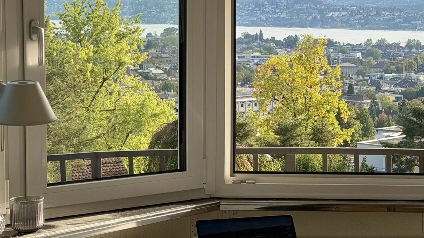 Chambre à louer - Gloriastrasse 82, 8044 Zürich - Photo 3