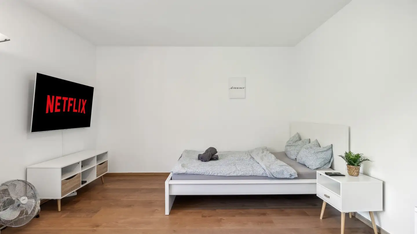 Appartamento in affitto - Birchweg 15, 8200 Schaffhausen - Foto 3