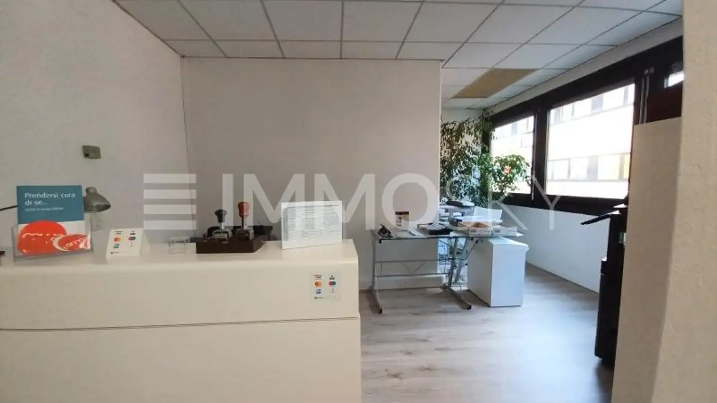 Mixed-use building for sale - 6814 Cadempino - Photo 4