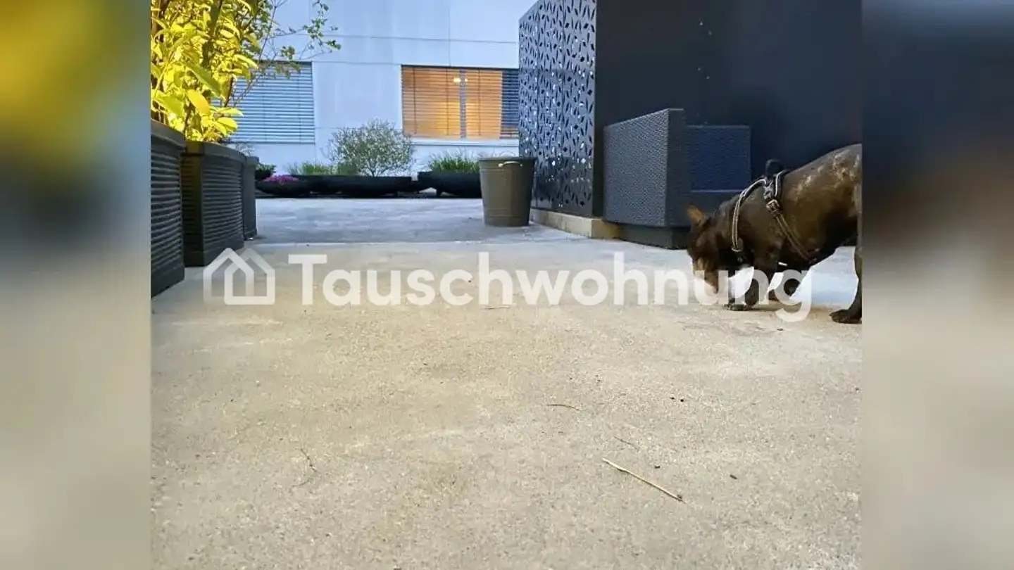 Duplex in affitto - 8952 Schlieren - Foto 4