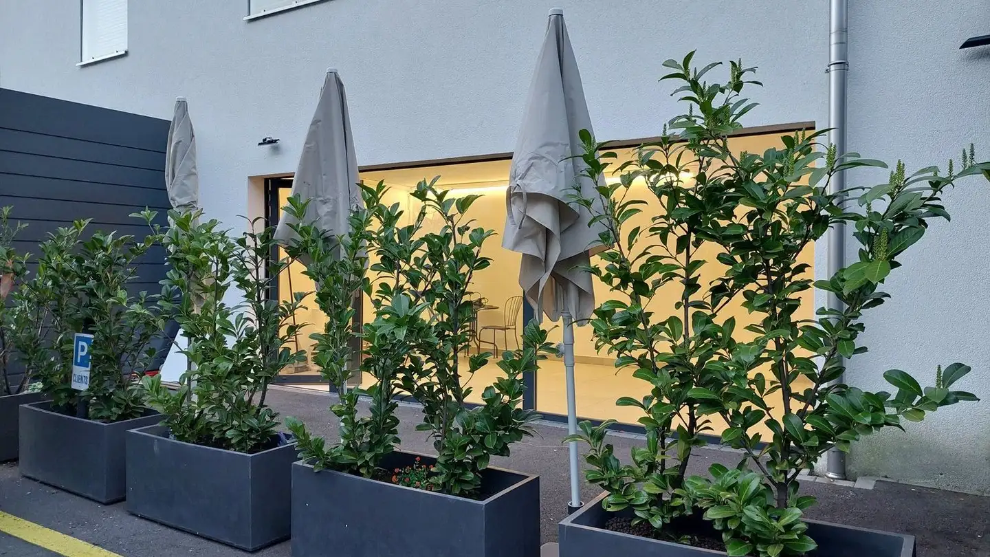 Commercial for rent - Route Cantonale 34b, 1897 Bouveret - Photo 4