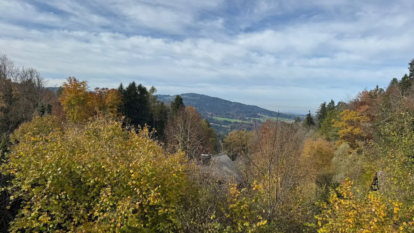 Appartamento in affitto - Strebelstrasse 24, 9010 St. Gallen