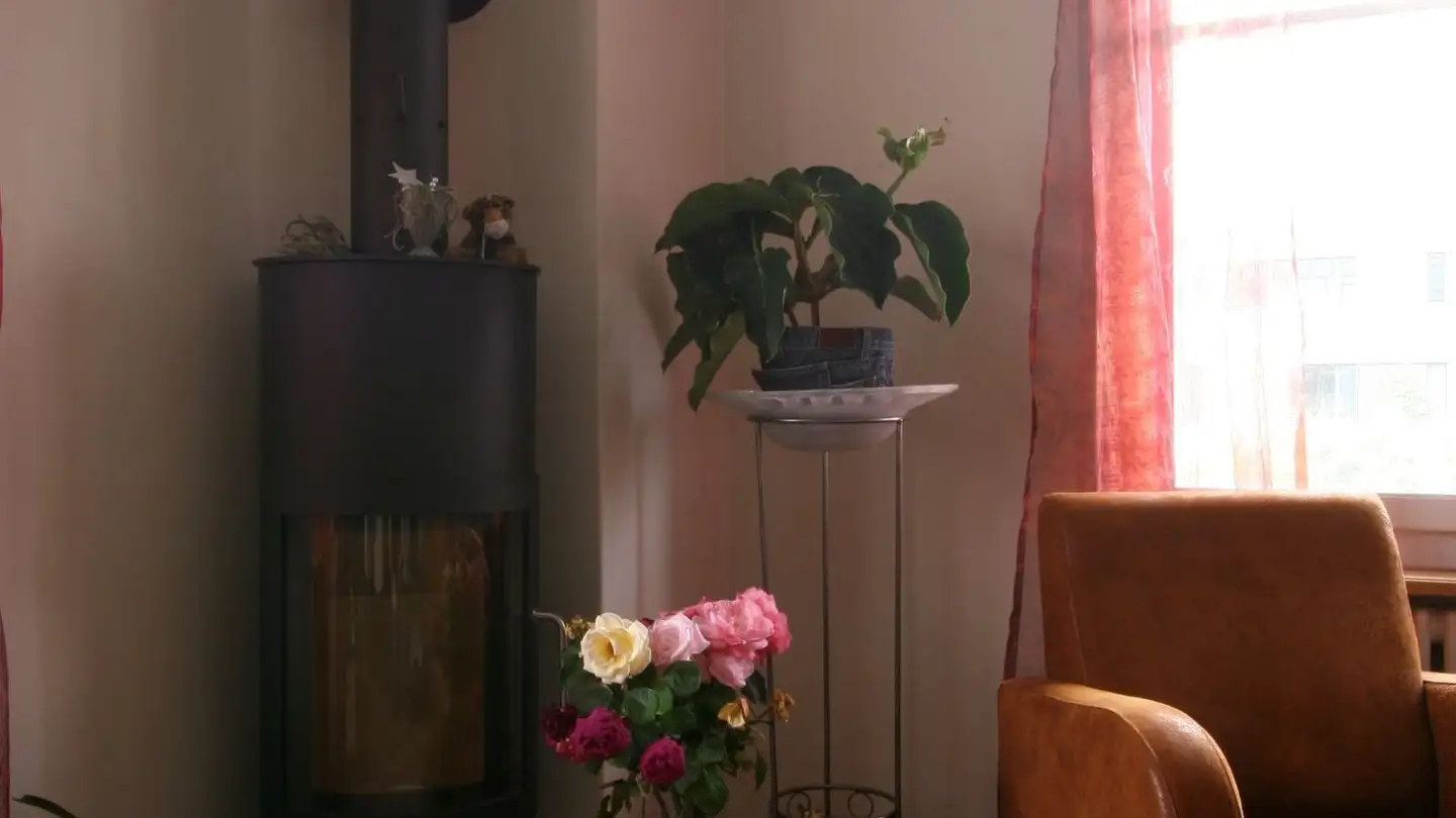 Duplex for rent - Waldheimstrasse 5a, 3604 Thun - Photo 4