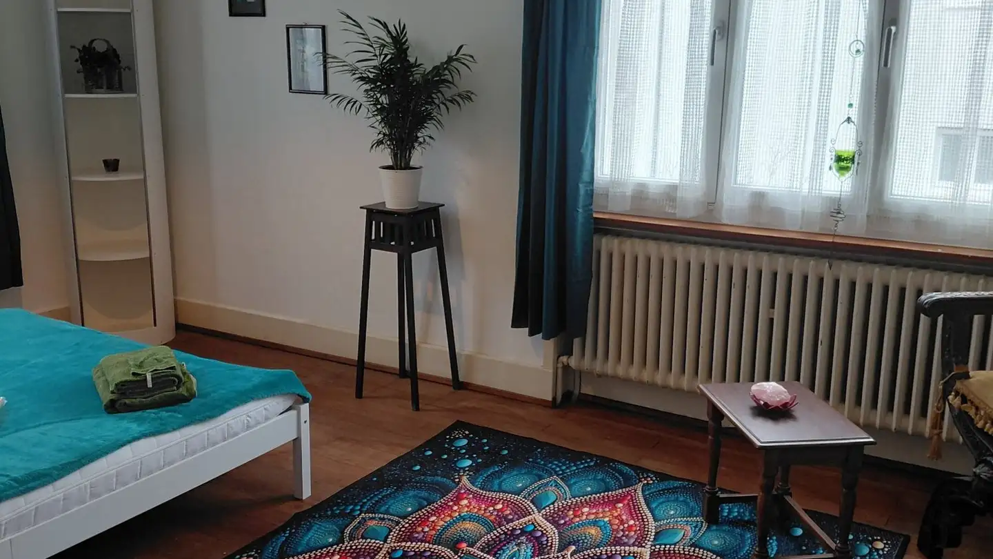 Single room for rent - 4805 Brittnau - Photo 2