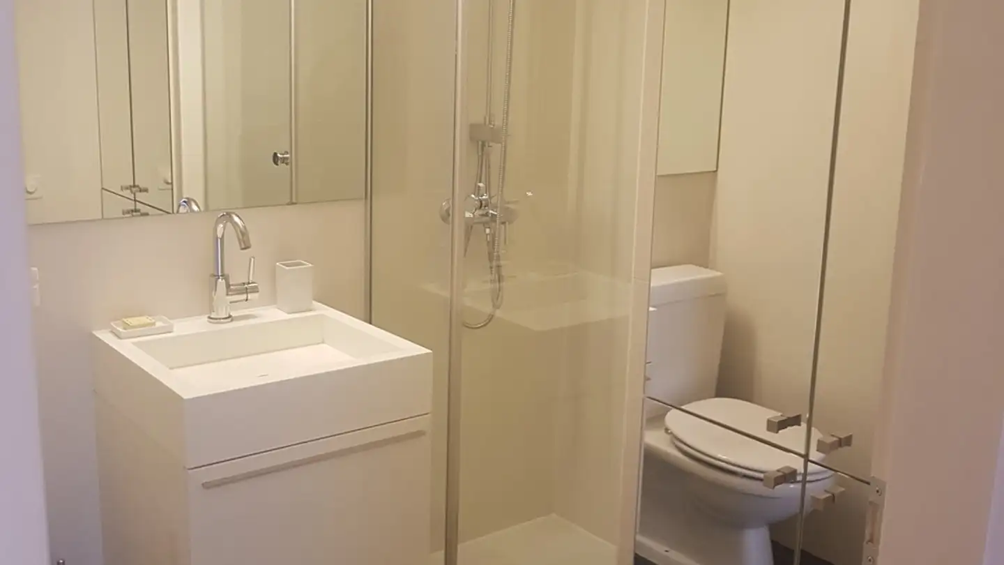 Apartment for sale - Grand-Rue 14, 1204 Genève - Photo 4