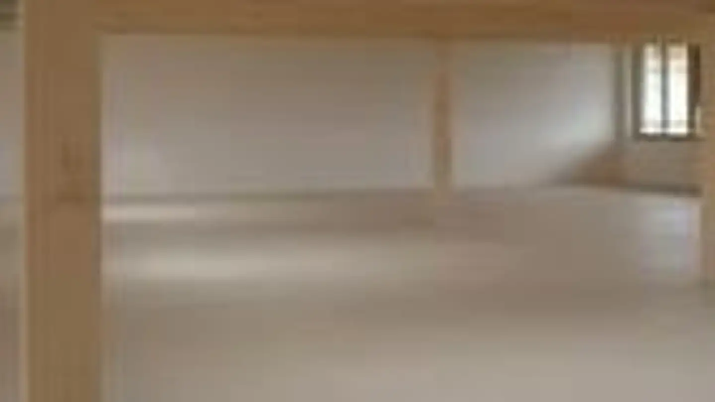 Gewerbe mieten - Alte Riedikerstrasse 63b, 8610 Uster - Foto 3