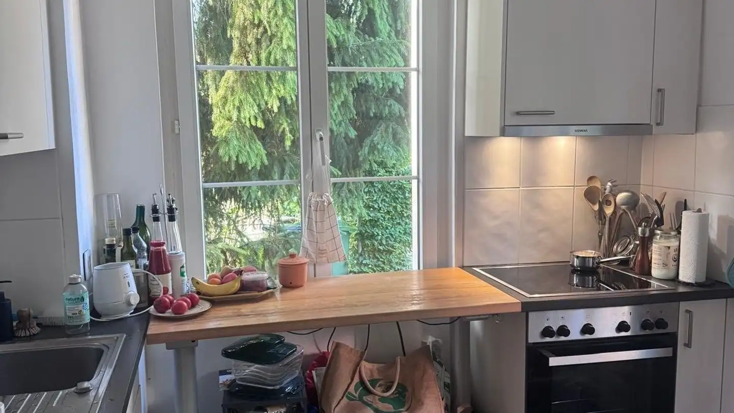 Duplex in affitto - Ägeristrasse, 6300 Zug - Foto 2