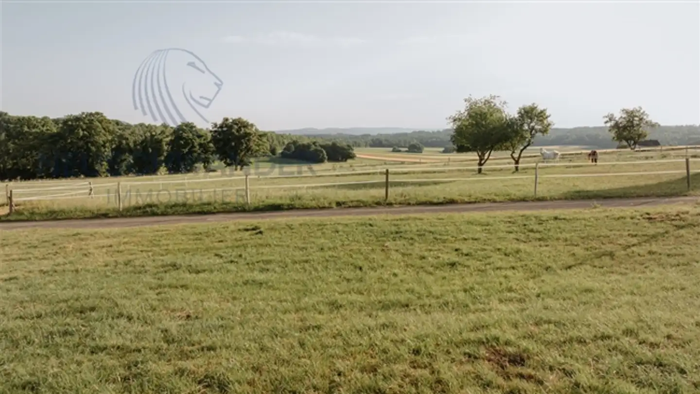 Appartamento in vendita - Route De Porrentruy 40, 2915 Bure - Photo 3