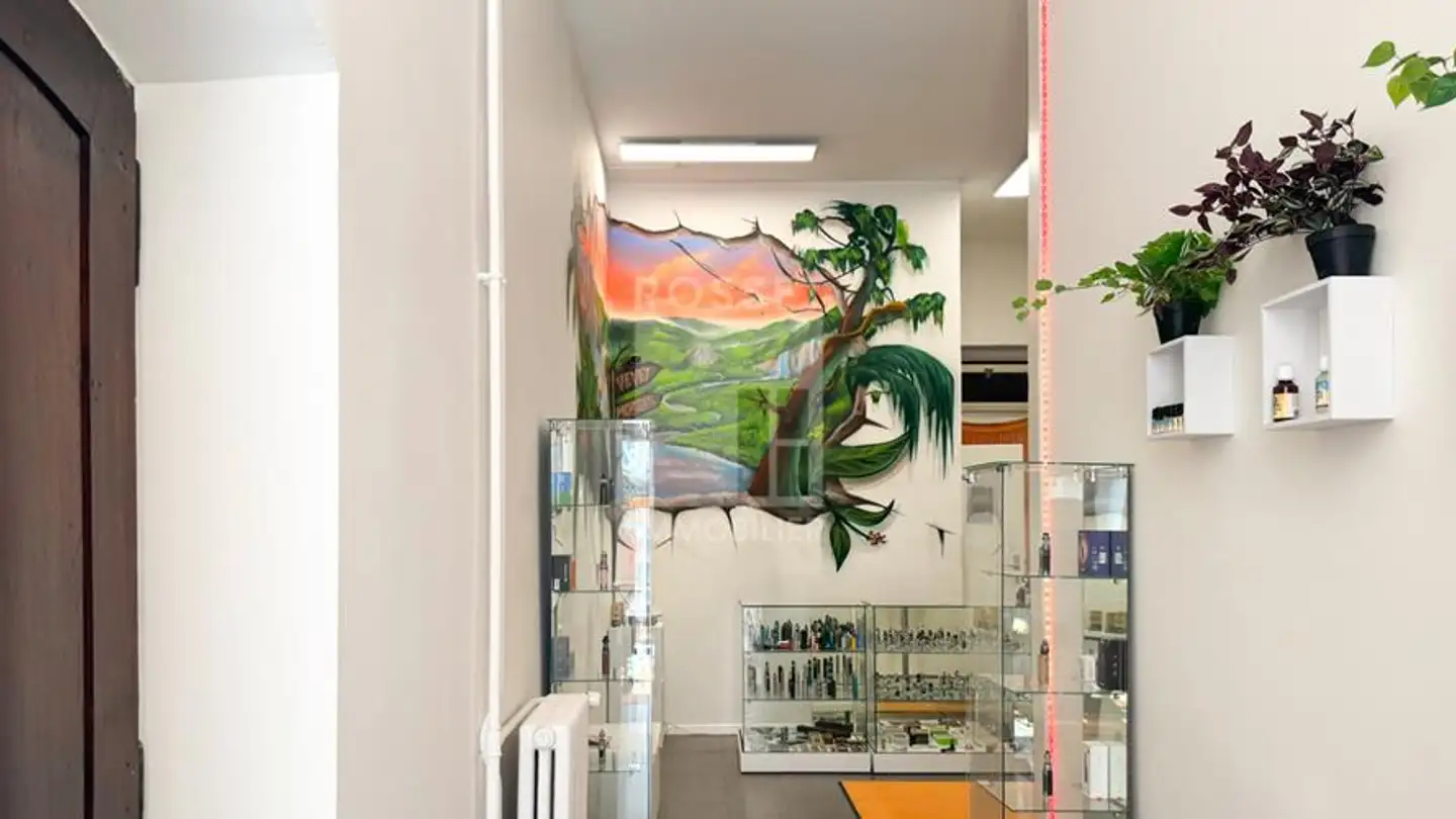 Geschäft mieten - Boulevard James- Fazy 11, 1201 Genève - Foto 2