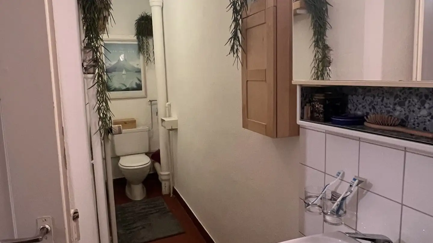 Apartment for rent - Wehntalerstrasse 285, 8046 Zürich - Photo 3