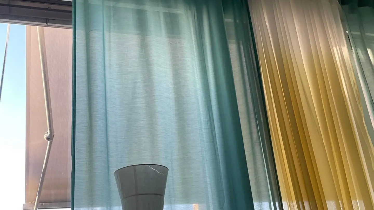 Wohnung mieten - Langgrütstrasse 102, 8047 Zürich - Foto 3