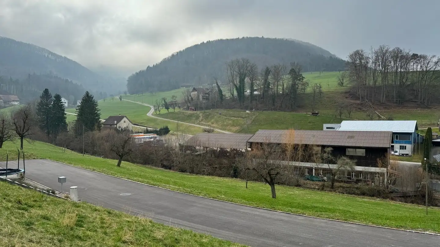 Casa bifamiliare in vendita - Häuserrain, 4495 Zeglingen - Photo 4