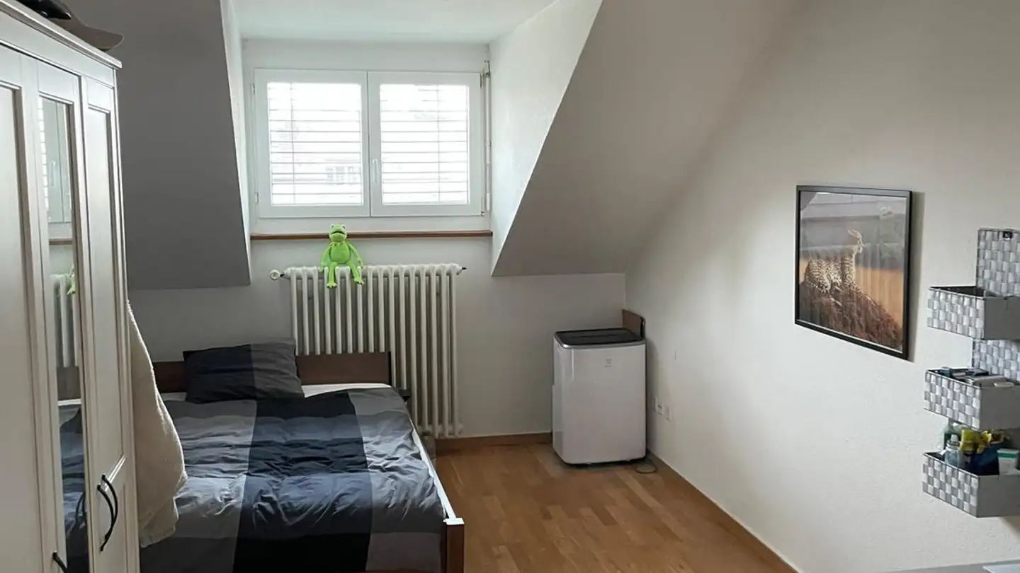 Single room for rent - Neuwiesenstrasse 6, 8400 Winterthur