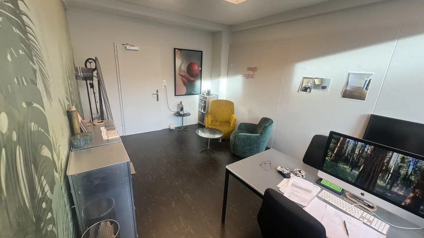 Bürofläche mieten - Langgrütstrasse 112, 8047 Zürich - Foto 3