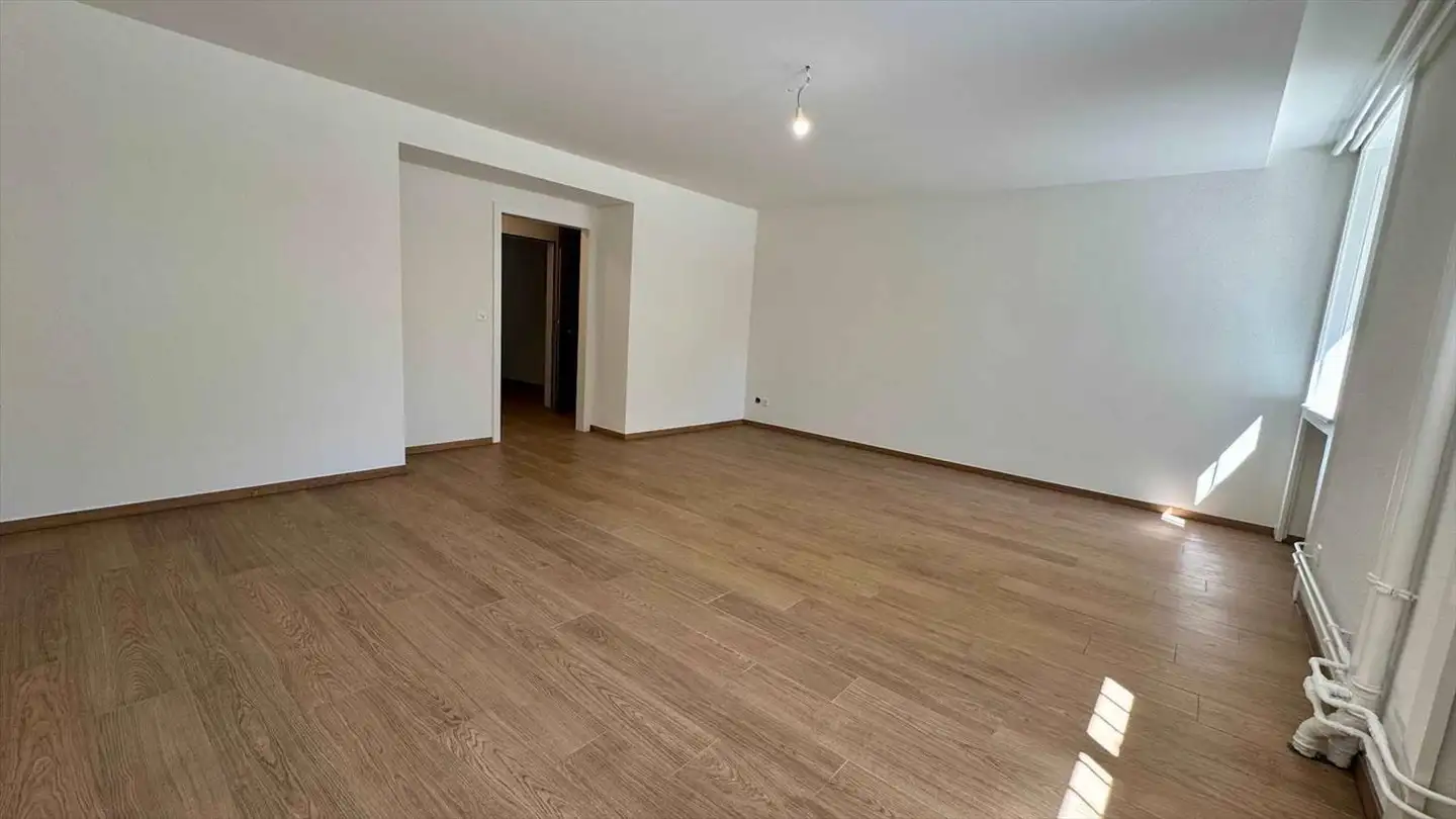 Office space for rent - Rue Du 31-Décembre 62, 1207 Genève - Photo 3