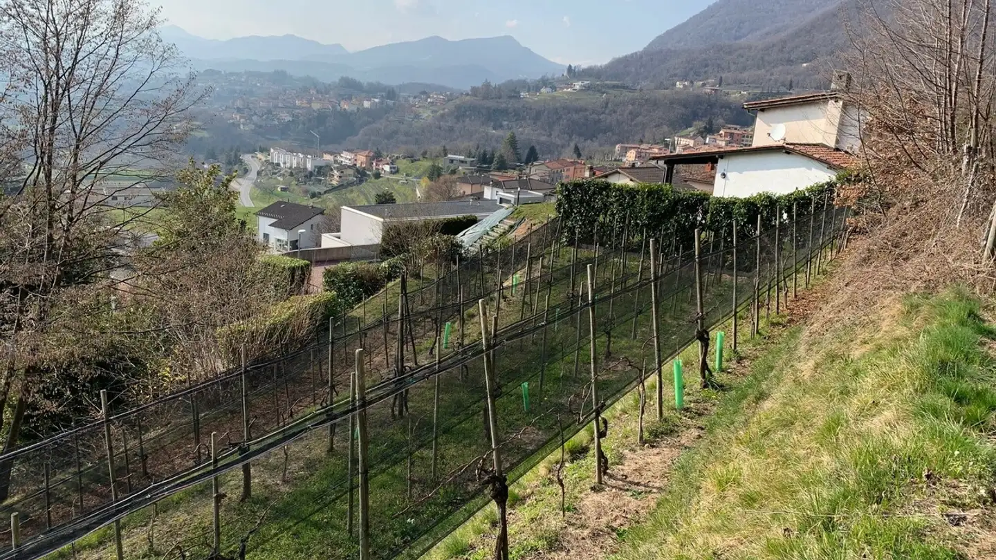 Terreno edificabile in vendita - Buée, 6835 Morbio Superiore - Foto 2