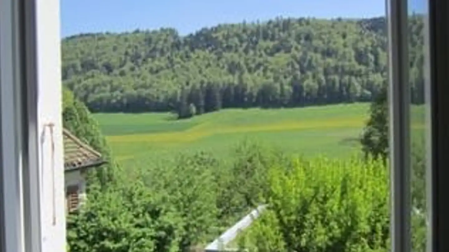 Appartamento in affitto - Grand-Rue 19, 2616 Renan BE - Foto 4