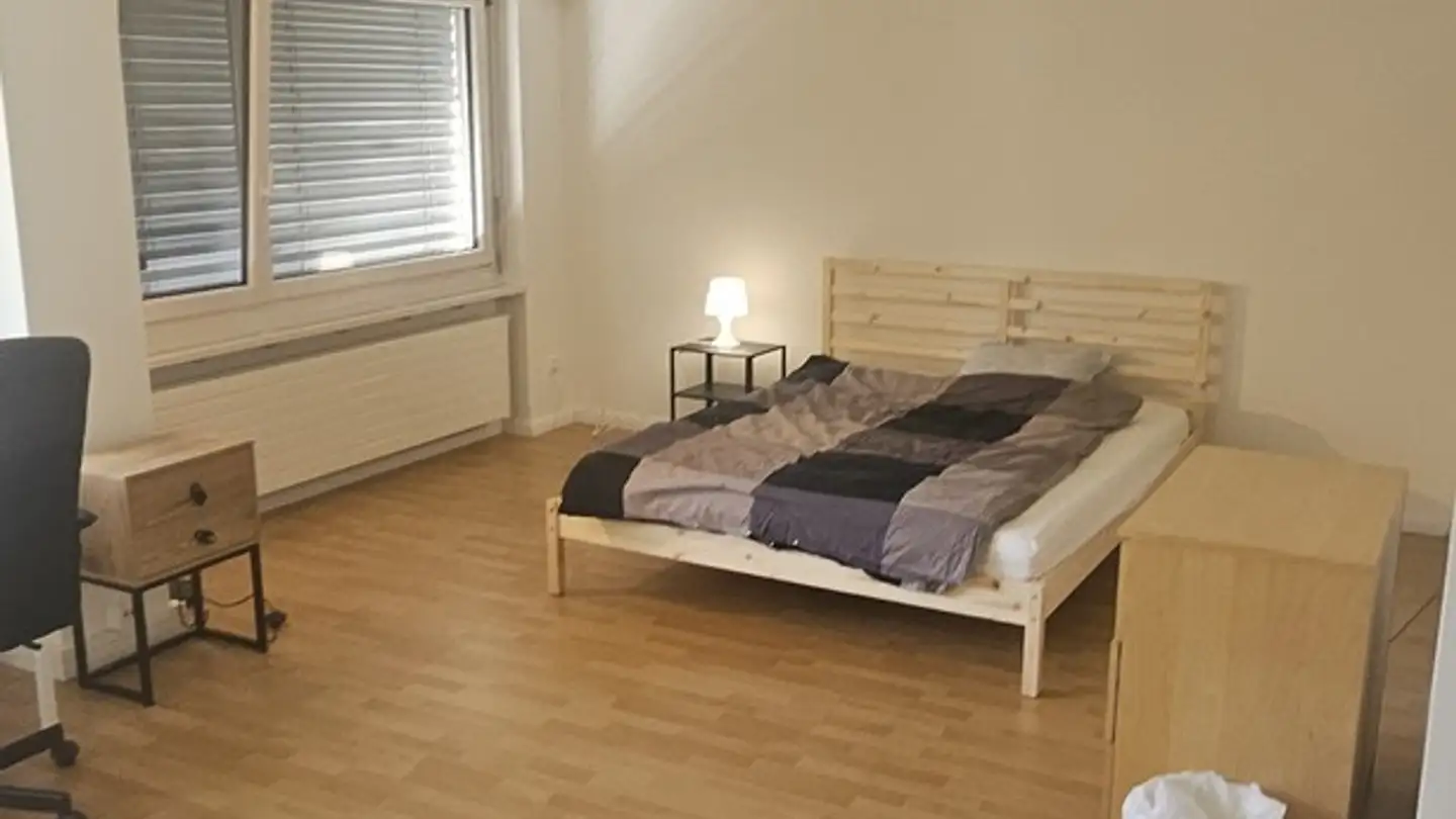 Chambre à louer - 8055 Zürich - Photo 3