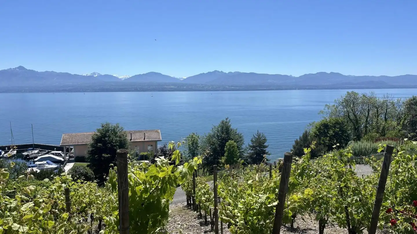 Appartement à vendre - 1162 St-Prex