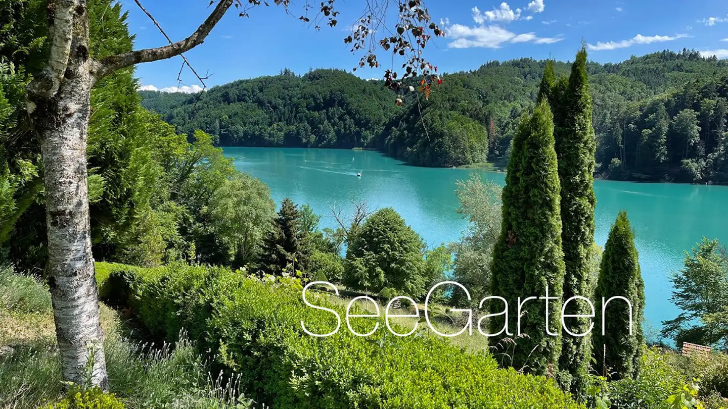 Villa à vendre - Steinisweg 43, 3034 Murzelen