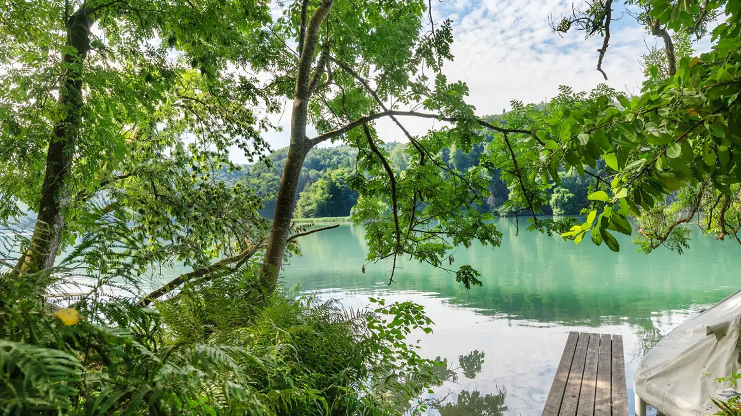 Villa à vendre - Steinisweg 43, 3034 Murzelen - Photo 3