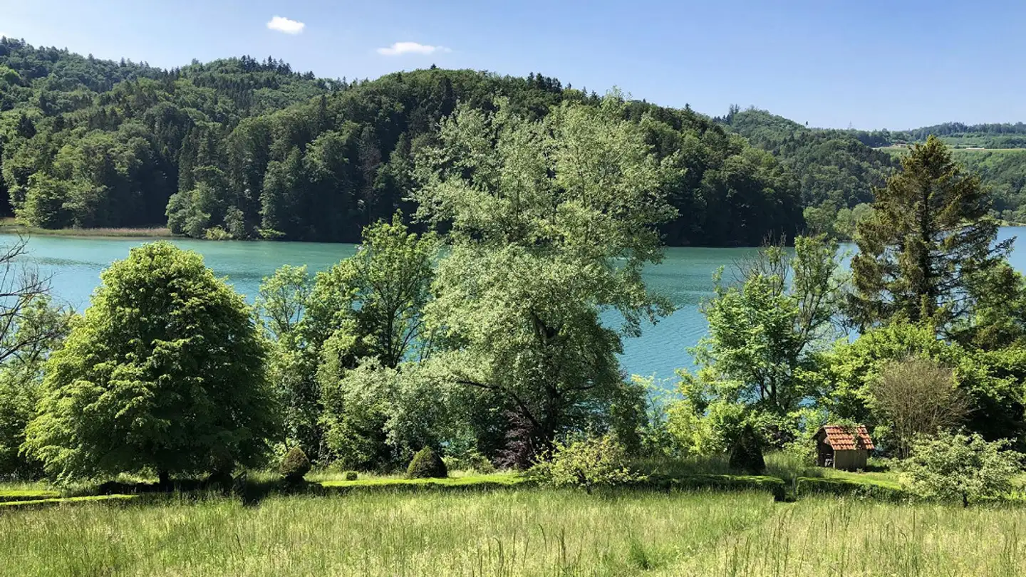 Villa à vendre - Steinisweg 43, 3034 Murzelen - Photo 4