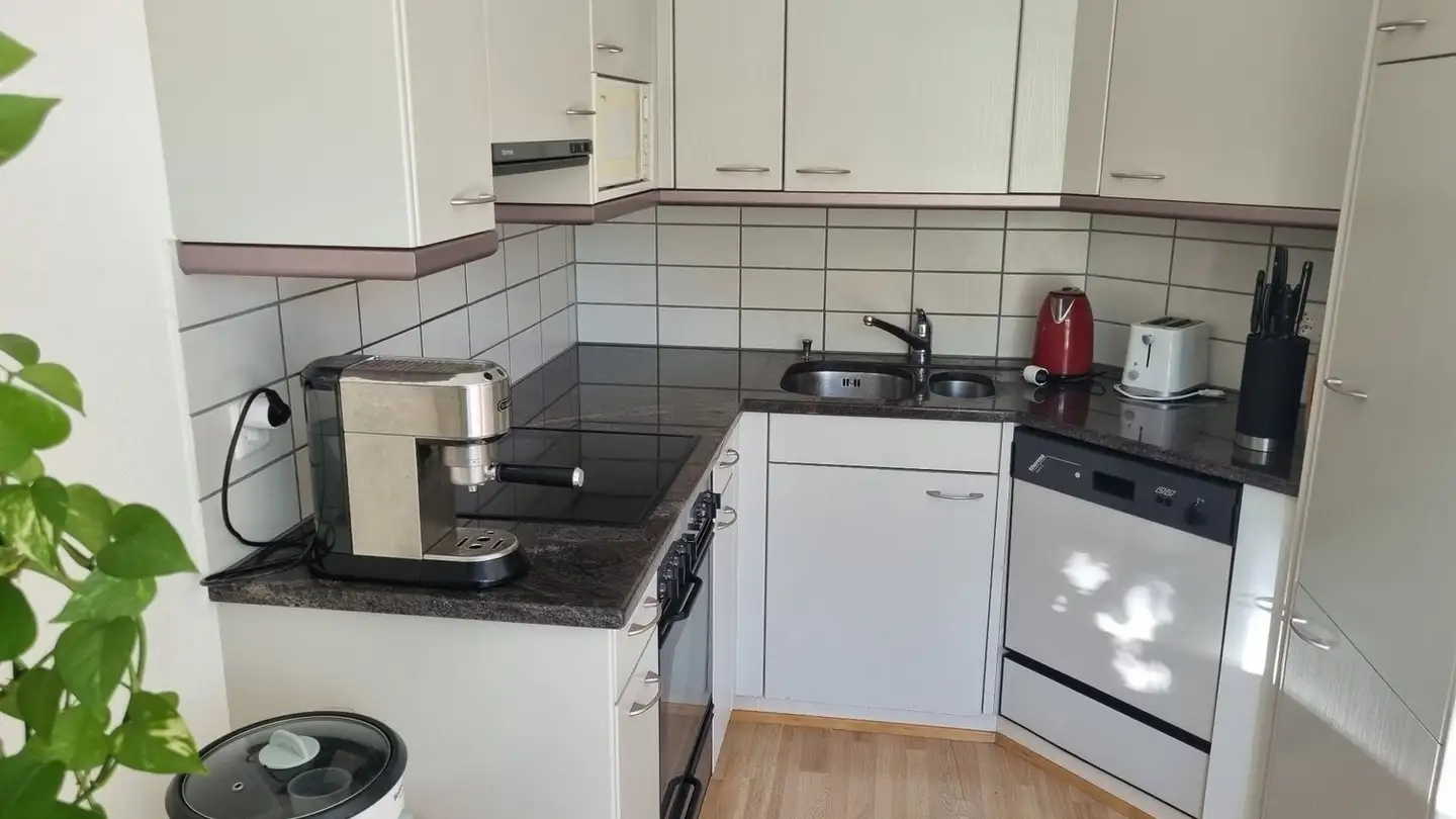 Appartement à louer - 8832 Wilen b. Wollerau - Photo 3