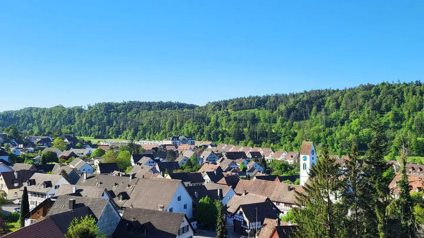 Appartement à louer - Kreuzhaldenstrasse 11, 8192 Glattfelden - Photo 2
