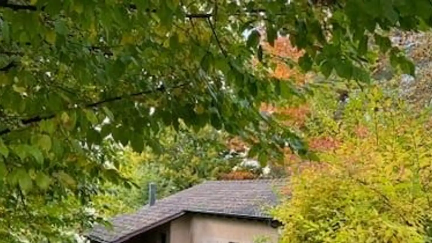 Espace de stockage à louer - Enzenbühlstrasse, 8008 Zürich