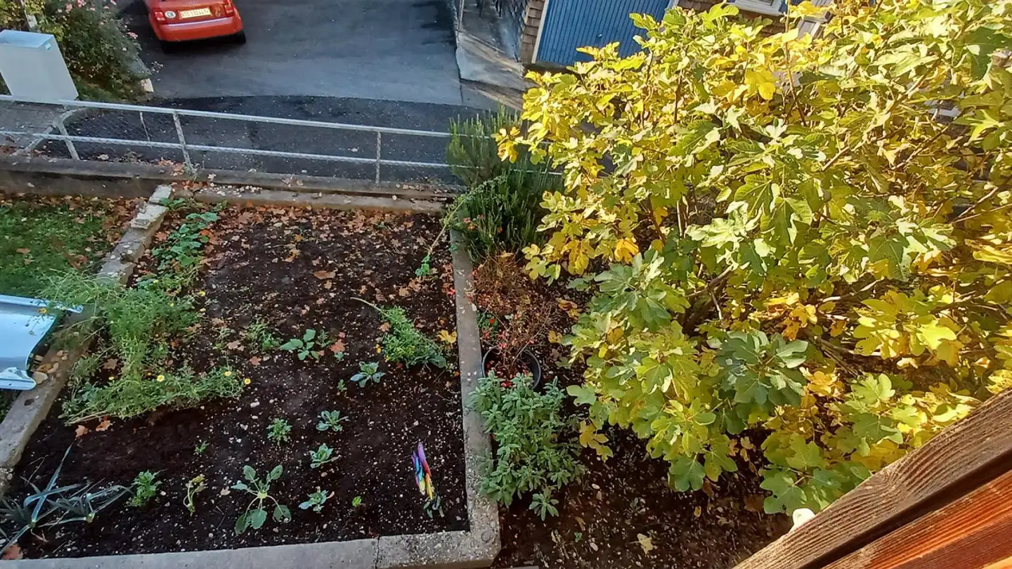 Wohnung mieten - Schulhausstrasse 15, 9470 Buchs SG