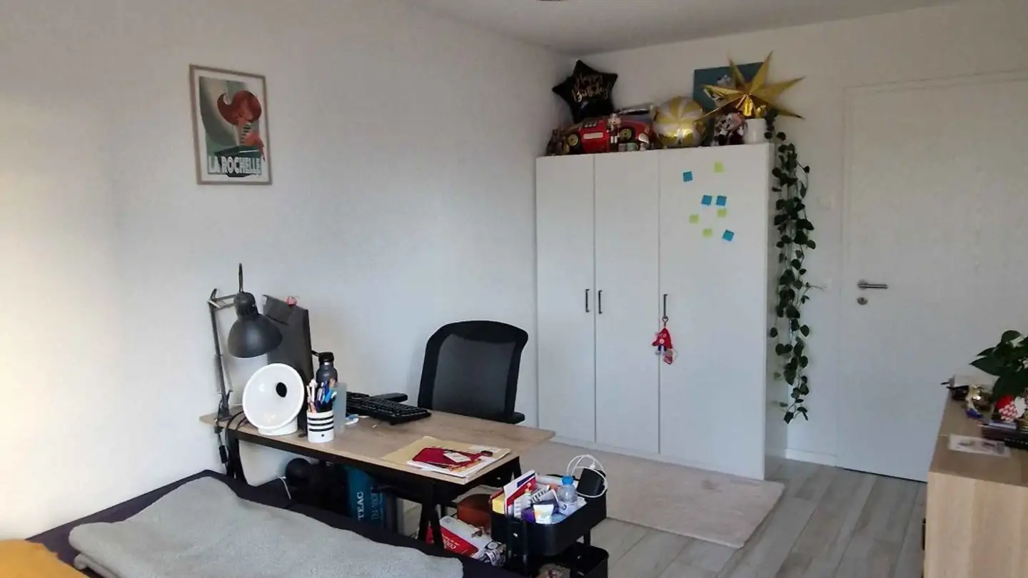 Chambre à louer - Chemin De Pierrefleur, 1004 Lausanne - Photo 3