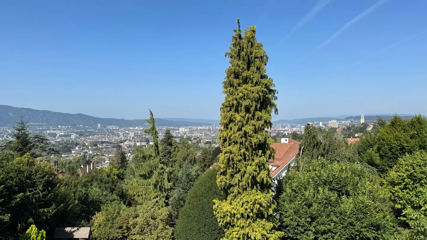 Villa kaufen - 8032 Zürich