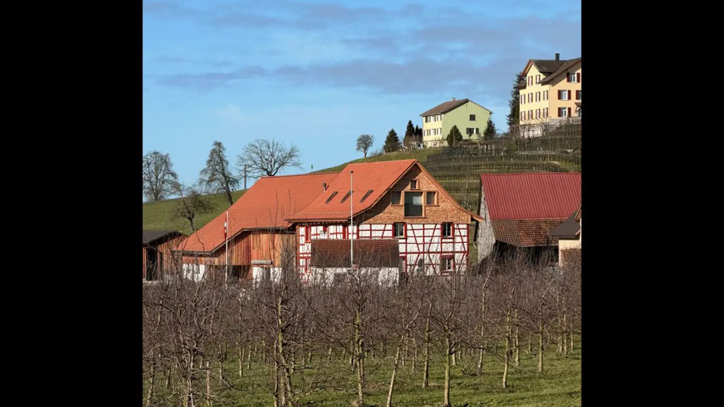 Duplex for rent - Dottenwilerstrasse 667, 9300 Wittenbach - Photo 3