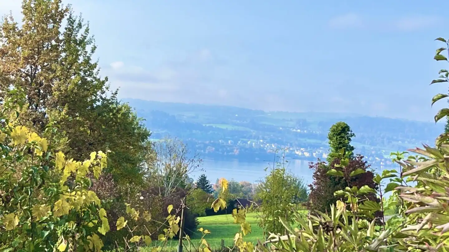 Einfamilienhaus kaufen - Im Grüt 13, 8706 Meilen - Foto 3