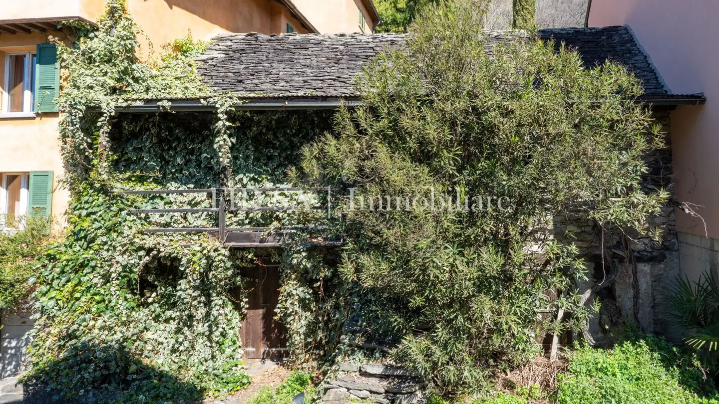 Atelier à vendre - A Malacarne, 6515 Gudo - Photo 3