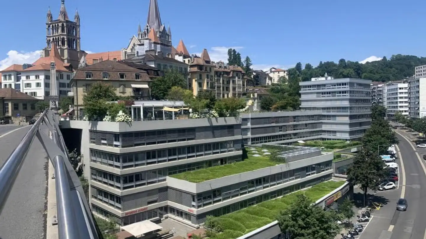 Gewerbe mieten - 1003 Lausanne