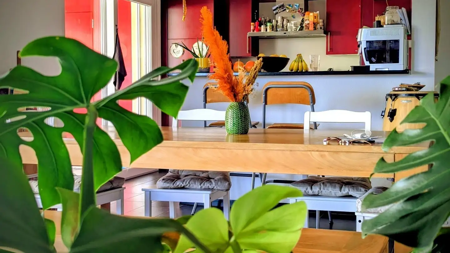 Appartement à louer - Route Principale 67, 1642 Sorens