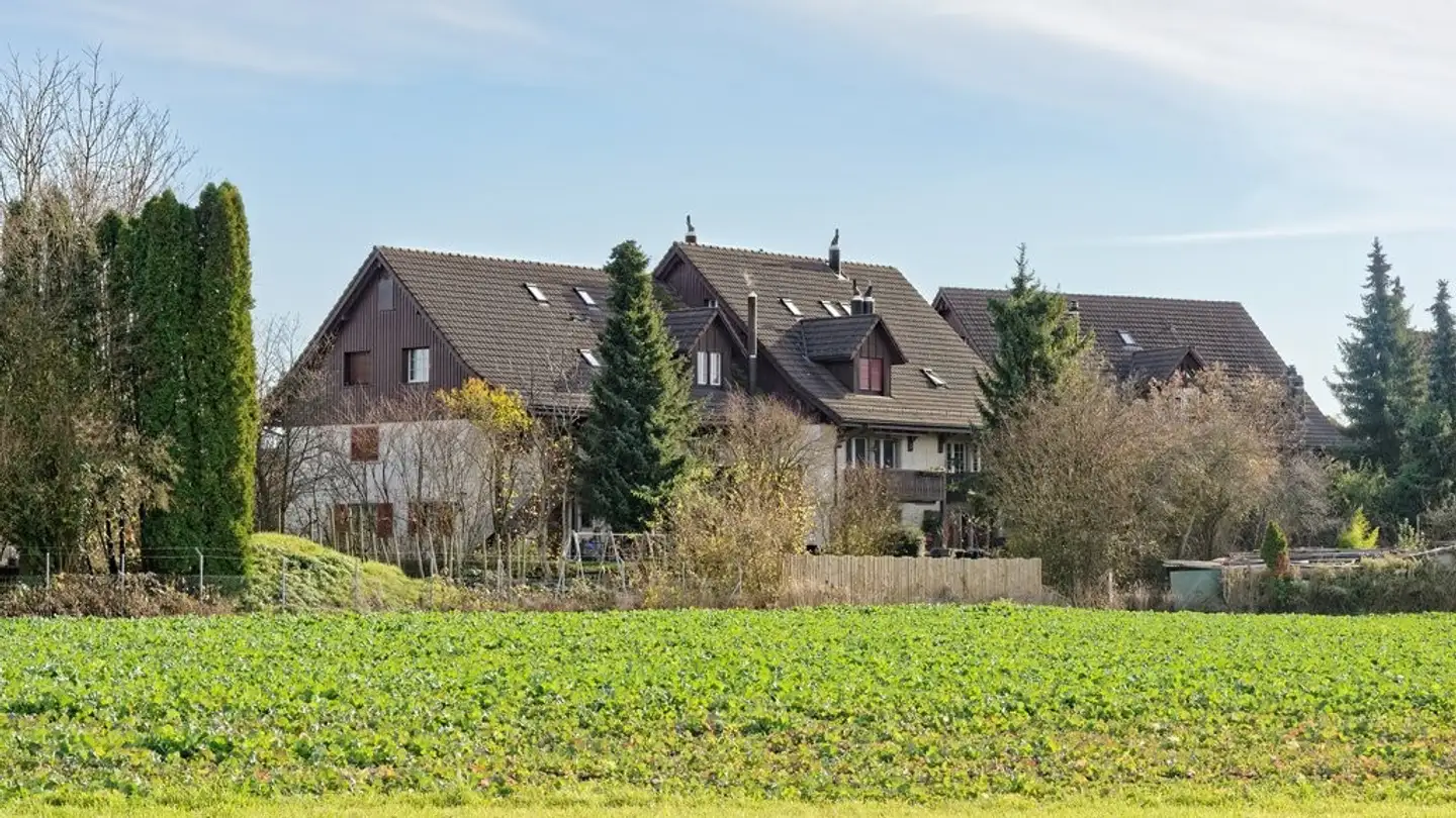 Outdoor parking space for rent - Stäpfetlistrasse 3, 8606 Nänikon