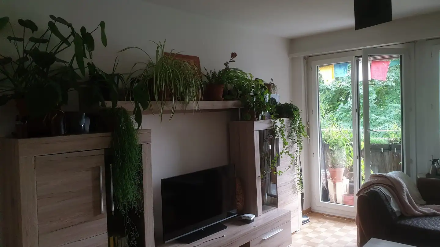 Chambre à louer - Wildenstrasse 9, 8049 Zürich - Photo 3
